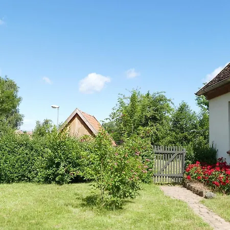 Apartament Dorothea *